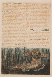 The First Book of Urizen, Plate 6, Muster around the Bleak Deserts.... (Bentley 4)